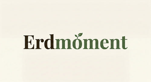 Erdmoment
